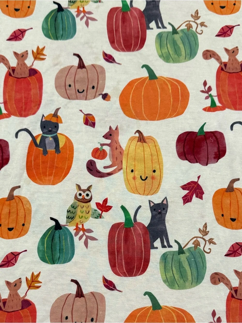 Little Sleepies Pumpkin Pals Bamboo Pajama Top Boys Girls Size 9/10 Long Sleeve